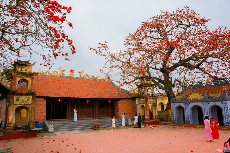 mùa hoa xuân nở rộ khắp ba miền