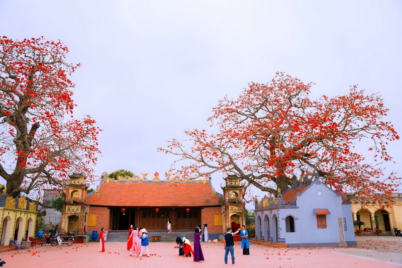 mùa hoa xuân nở rộ khắp ba miền