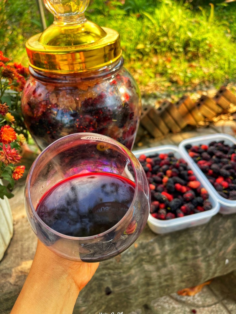 cách ngâm dâu tằm