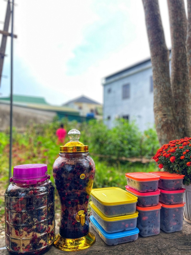 cách ngâm dâu tằm