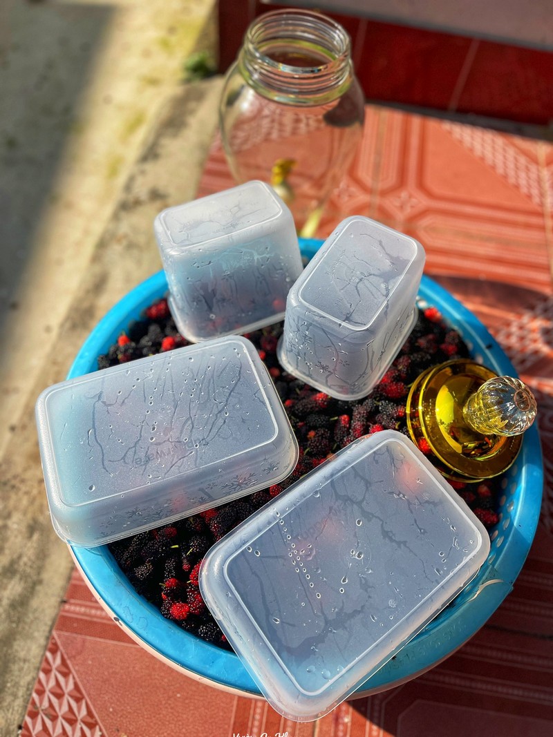 cách ngâm dâu tằm