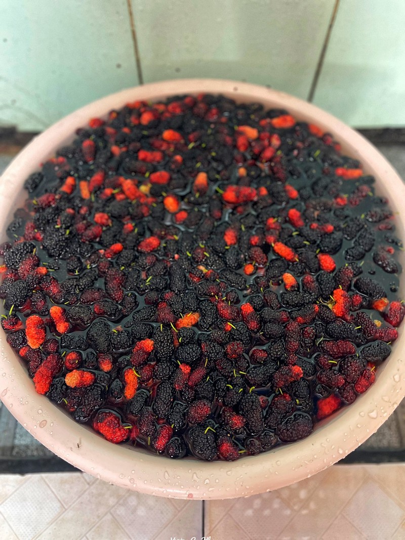 cách ngâm dâu tằm