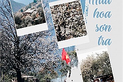 Lịch trình 2N1Đ check in mùa hoa sơn tra ở một trong những bản làng cao nhất Việt Nam