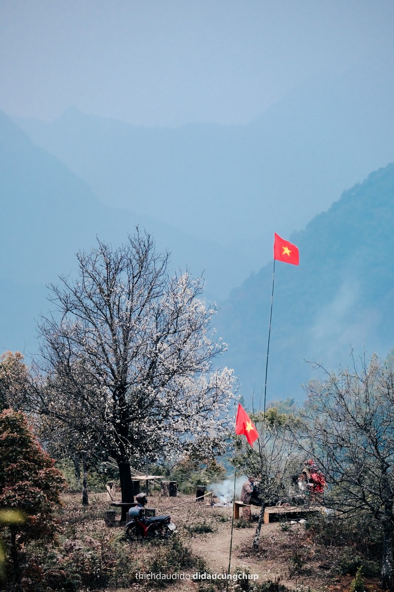 Lịch trình 2N1Đ check in mùa hoa sơn tra