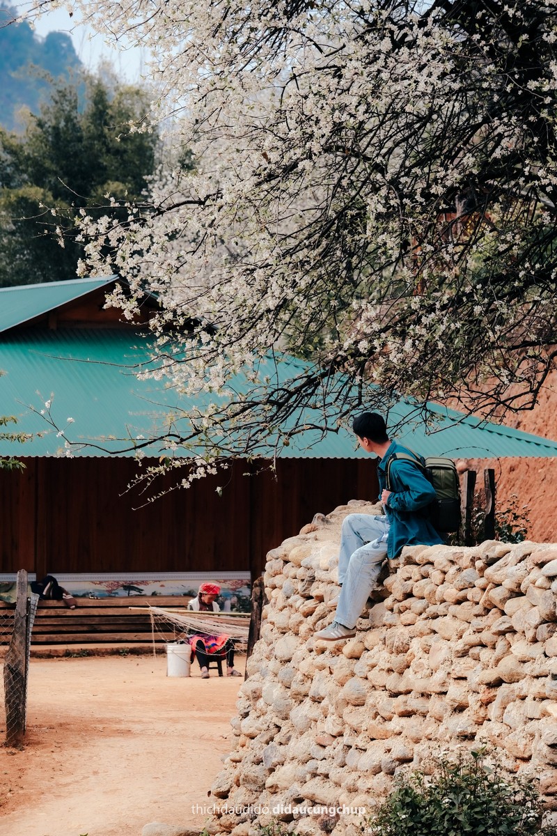 Lịch trình 2N1Đ check in mùa hoa sơn tra