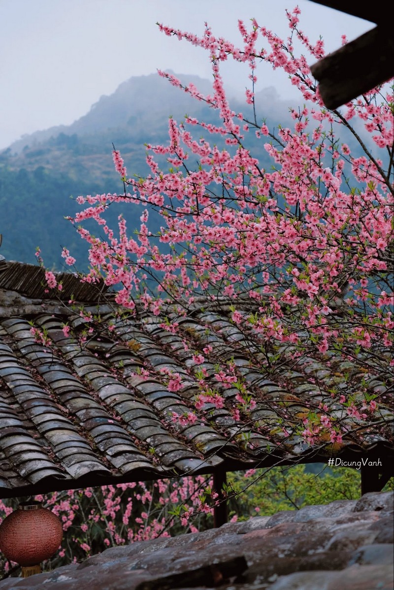 Lịch trình du xuân Hà Giang