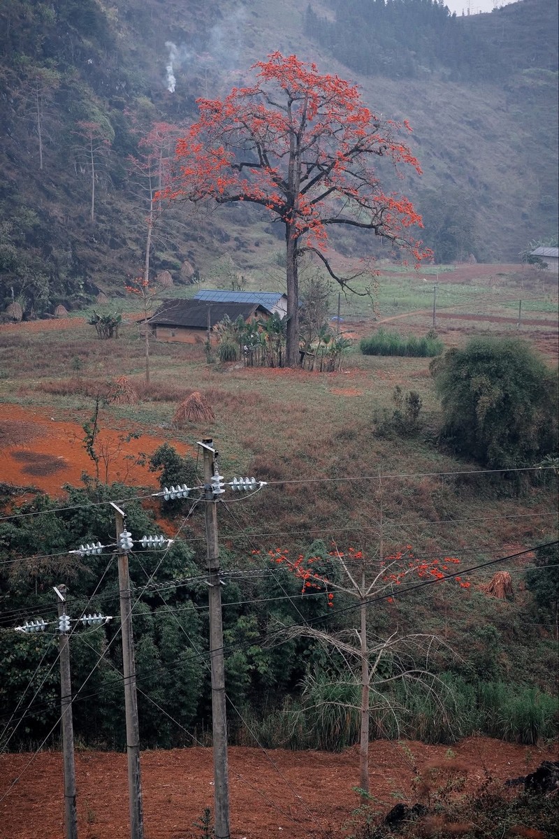 Lịch trình du xuân Hà Giang