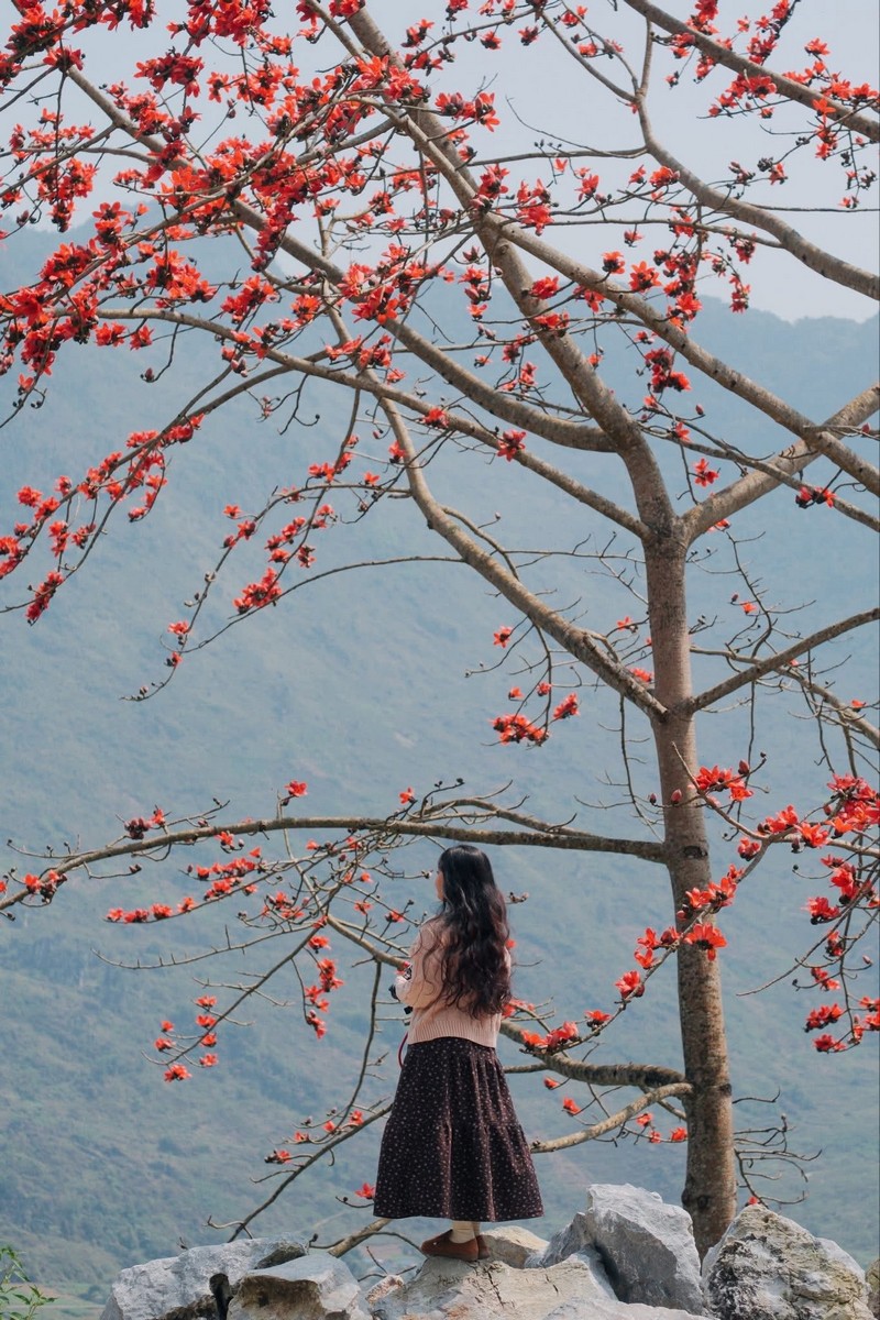 Lịch trình du xuân Hà Giang