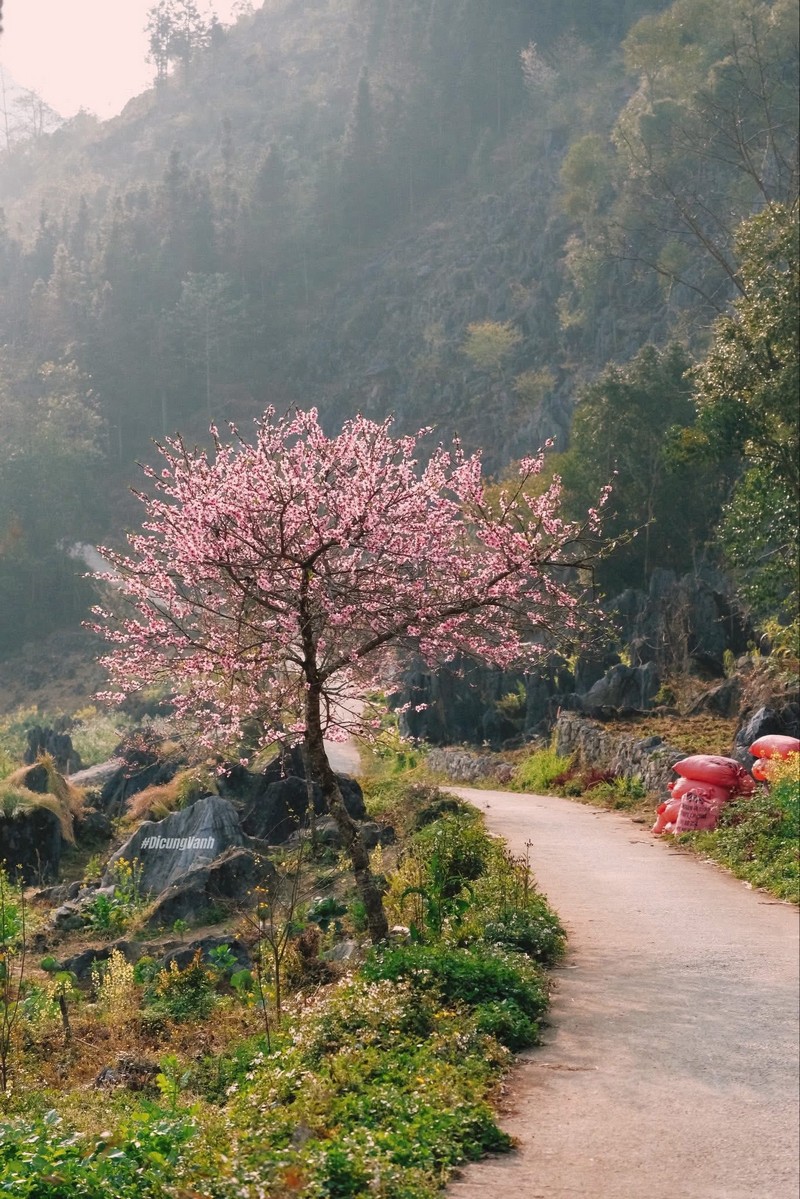 Lịch trình du xuân Hà Giang