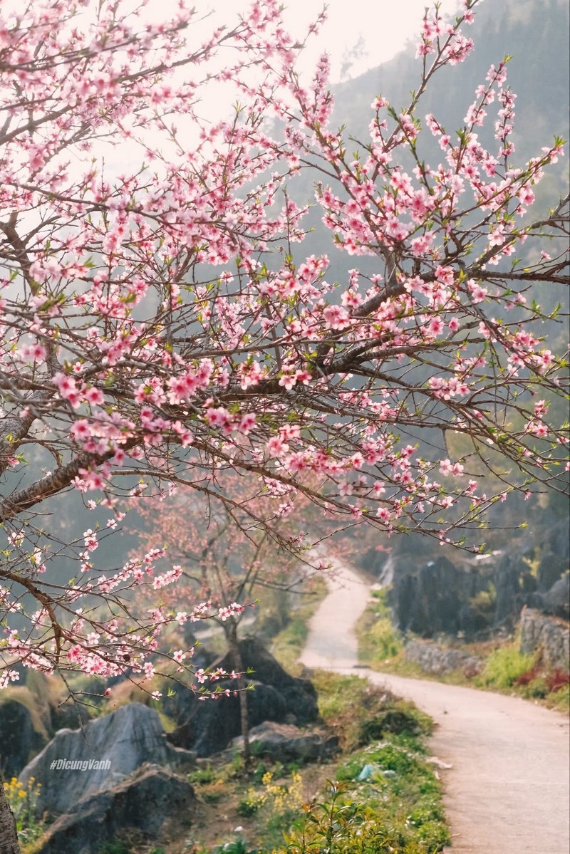 Lịch trình du xuân Hà Giang
