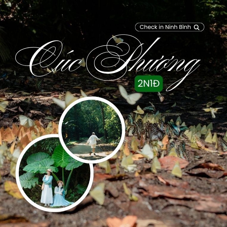 Lịch trình 2N1Đ đi Cúc Phương săn bướm: "Năm nay bướm có sớm hơn nên có thể cũng sẽ kết thúc sớm"