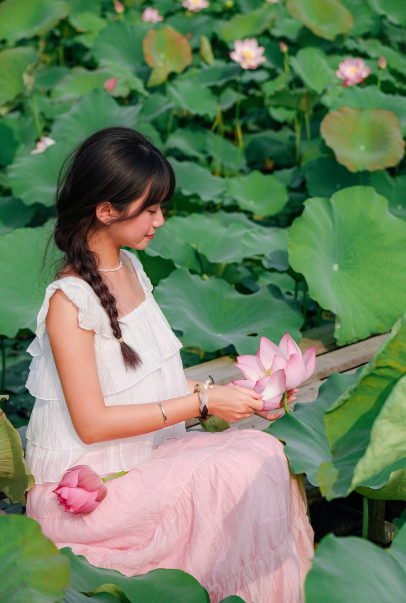 chiêm ngưỡng hình ảnh hoa sen