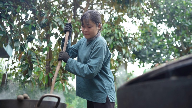 thu hoạch hạt đác tự nhiên