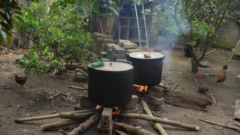 thu hoạch hạt đác tự nhiên