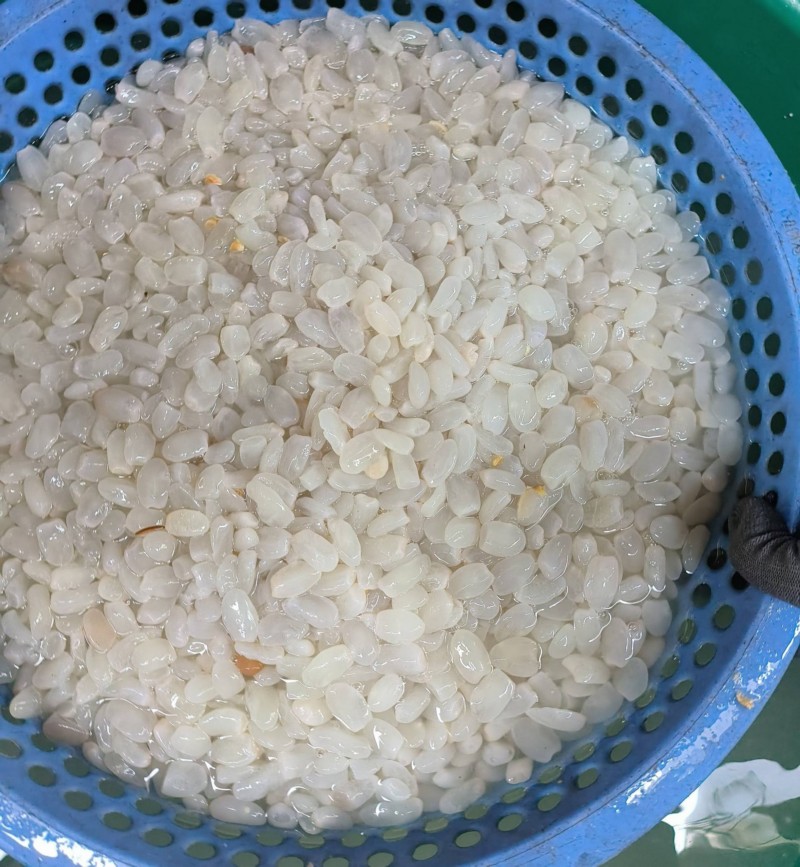 thu hoạch hạt đác tự nhiên