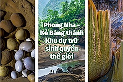 Vườn quốc gia Phong Nha - Kẻ Bàng được công nhận Khu dự trữ sinh quyển thế giới, cộng đồng mạng bày tỏ phấn khích