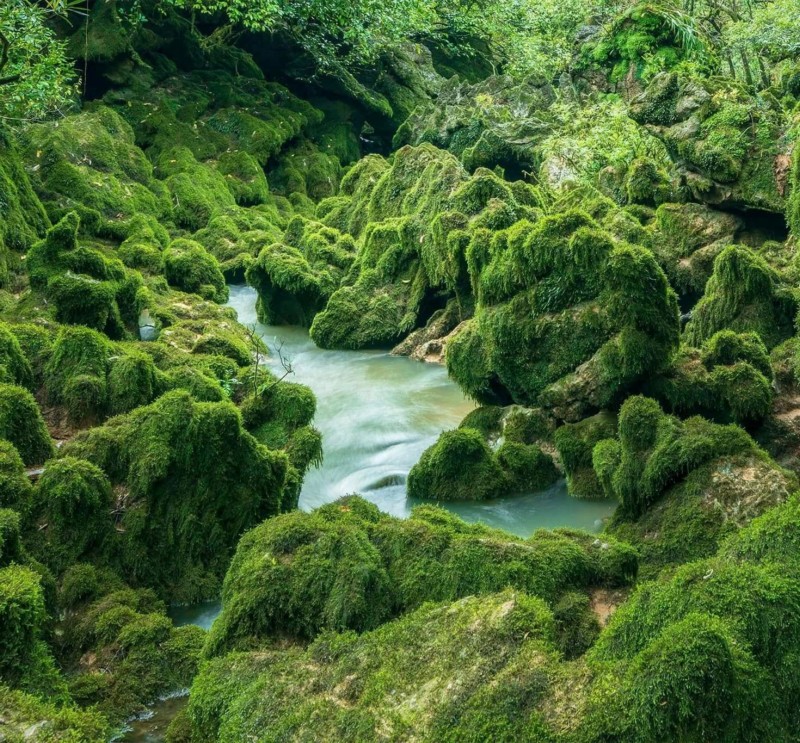 Phong Nha - Kẻ Bàng được công nhận Khu dự trữ sinh quyển